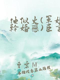 他似火(军婚高干婚恋)臣言