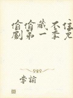 偷偷藏不住电视剧第一季免费观看