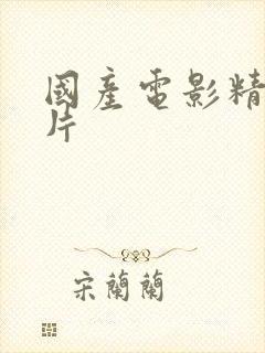 国产电影精品毛片