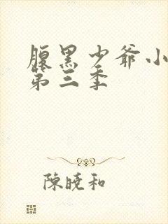 腹黑少爷小甜妻第三季