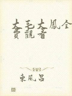 大毛大凤全集免费观看