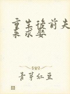 重生后前夫每天来求娶