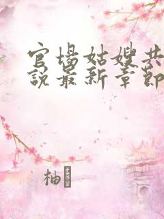 官场姑嫂共夫小说最新章节