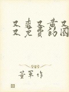 又爽又黄又激烈又免费的国产视频