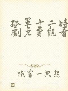 孤军十二时电视剧免费观看高清