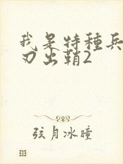 我是特种兵之利刃出鞘2