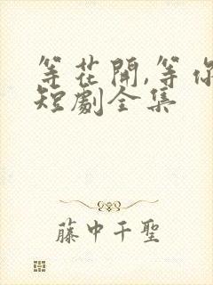 等花开,等你归短剧全集