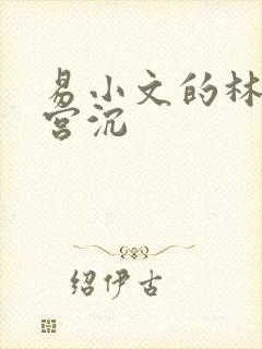 易小文的林知意宫沉