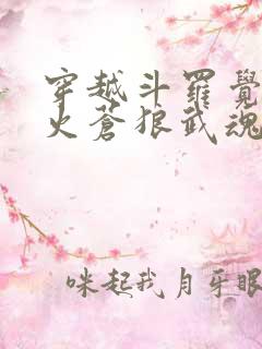 穿越斗罗觉醒烈火苍狼武魂的小说