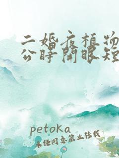 二婚夜植物人老公睁开眼短剧