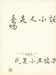 秦夫人小说好看吗