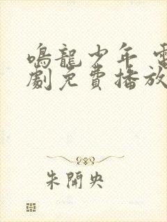 鸣龙少年 电视剧免费播放