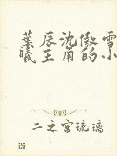 叶辰沈傲雪林若曦主角的小说