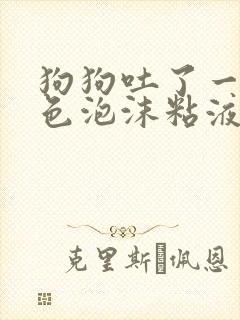 狗狗吐了一滩白色泡沫粘液