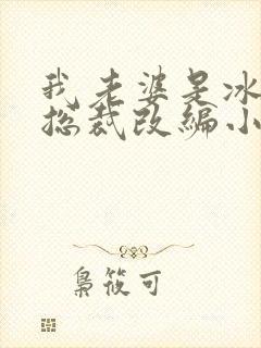 我老婆是冰山女总裁改编小说