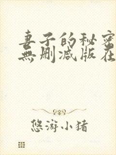 妻子的秘密日剧无删减版在线观看