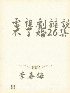 电视剧谁说我结不了婚26集