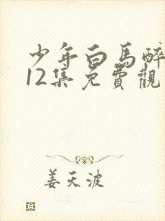少年白马醉春风12集免费观看