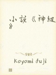 小说《神级龙卫》