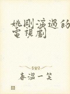 姚刚演过的全部电视剧