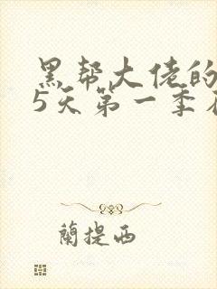 黑帮大佬的365天第一季在线观看