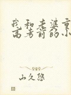 我和老婆重生到高考前的小说
