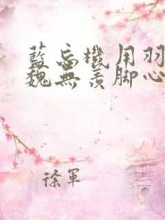 蓝忘机用羽毛挠魏无羡脚心