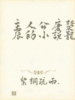 主人公唐楚楚江辰的小说龙王医婿