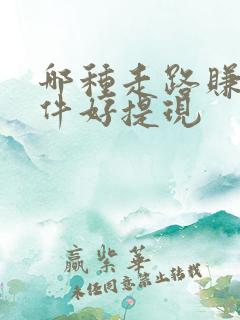 哪种走路赚钱软件好提现