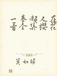 一拳超人在线观看全集樱花