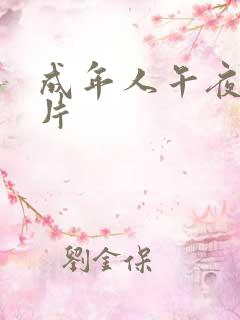 成年人午夜激情片