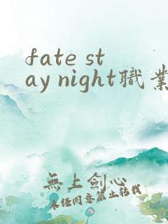 fate stay night职业