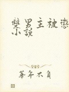 双男主被惩罚的小说