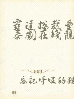 霸道总裁爱上我泰剧在线观看