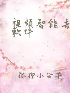 视频智能去水印软件