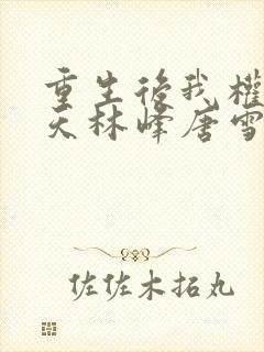 重生后我权势滔天林峰唐雪颜的小说叫什么