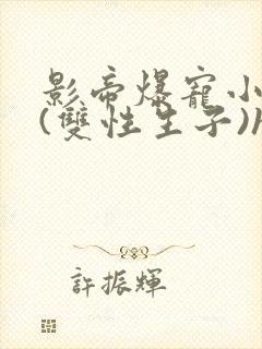 影帝爆宠小骚妻(双性生子)h