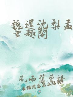 魏迟沈梨孟灵薇笔趣阁