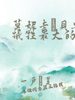 莫妮卡·贝鲁奇牺牲最大的电影是哪一