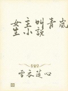 女主叫青岚的重生小说