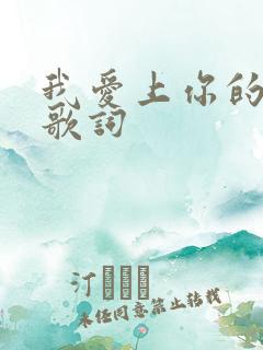 我爱上你的时候歌词