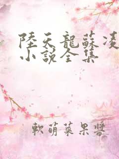 陆天龙苏凌月 小说全集