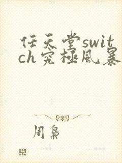 任天堂switch究极风暴4卡带