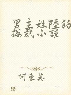 男主姓陆的所有总裁小说