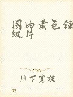 国内黄色录像一级片