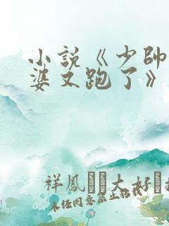 小说《少帅你老婆又跑了》