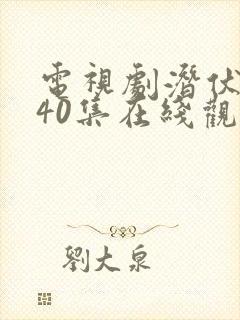 电视剧潜伏全集40集在线观看