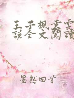 王子枫袁雯洁小说全文阅读