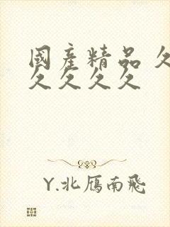 国产精品 久久久久久久