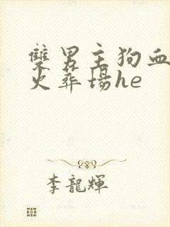 双男主狗血追妻火葬场he